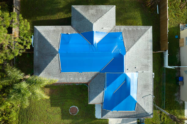Best Roof Moss and Algae Removal  in Mullica Hill, NJ