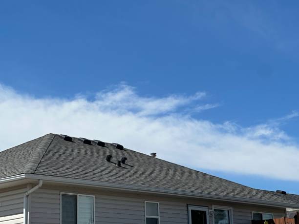Best Gutter Installation and Repair  in Mullica Hill, NJ